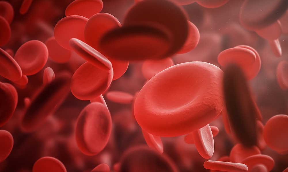 Blutwerte – Was Blut über Ihre Gesundheit verrät