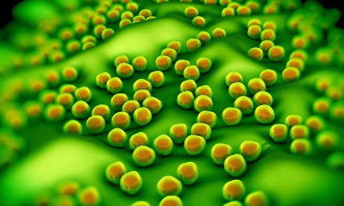 Antibiotikaresistenzen – Gefährliche Keime besiegen