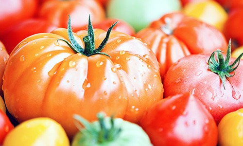 Tomate – beugt sie tatsächlich Herzinfarkten vor?