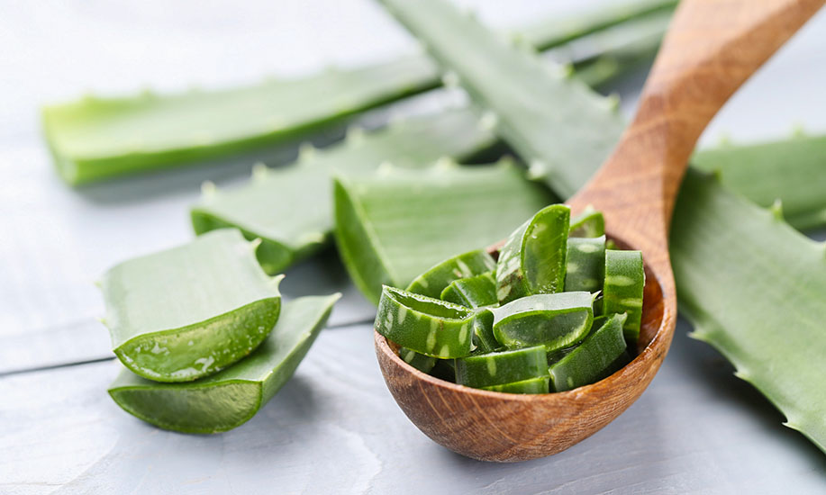 Aloe vera – Wüstenpflanze für Gesundheit und Schönheit