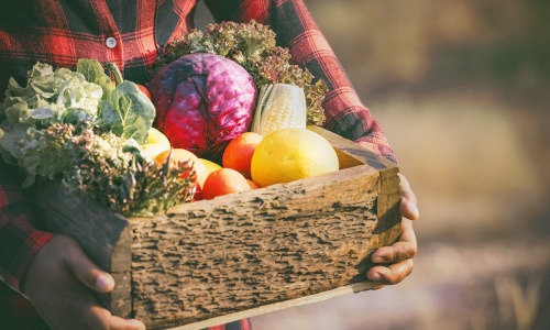 Gesund essen durch Saisonalität und Regionalität