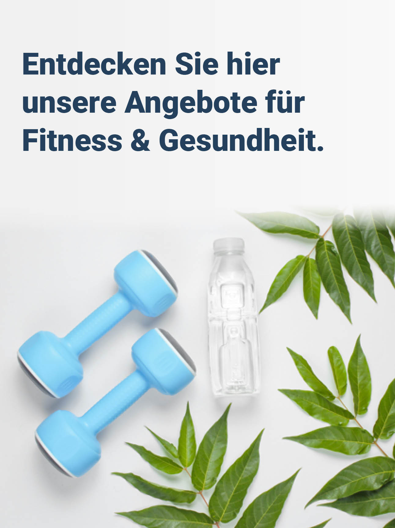 Fitness&Gesundheit